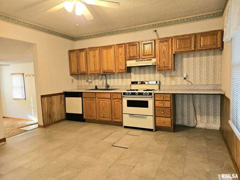 Tiny photo for 208 FLETCHER Avenue, Muscatine, IA 52761 (MLS # QC4268161)