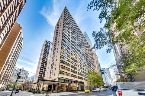 850 N Dewitt Place 16H Chicago IL 60611