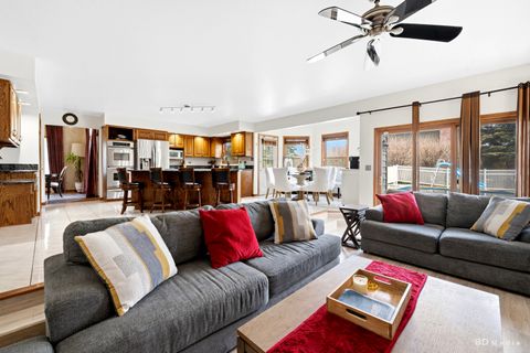 Tiny photo for 91 Pleasant Hill Court, Frankfort, IL 60423 (MLS # 12611498)
