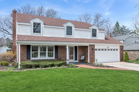 1549 Chippewa Drive Naperville IL 60563