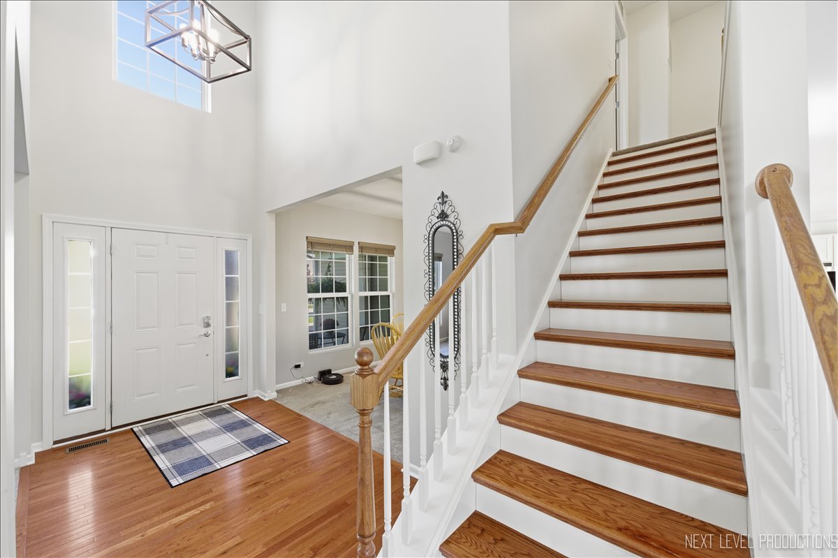 1142 Midnight Place