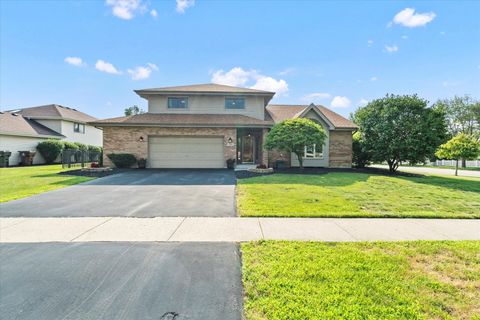 701 Downing Street New Lenox IL 60451