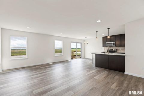 Tiny photo for 709 WILLIAMS Way, Carbon Cliff, IL 61239 (MLS # QC4265450)