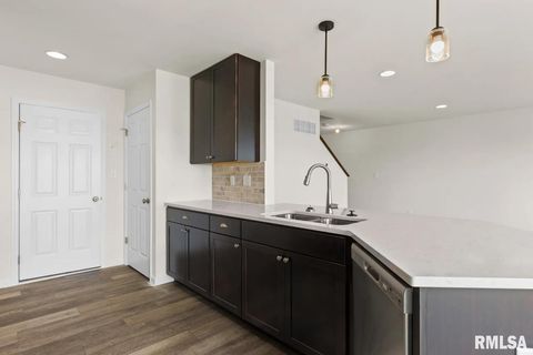 Tiny photo for 709 WILLIAMS Way, Carbon Cliff, IL 61239 (MLS # QC4265450)