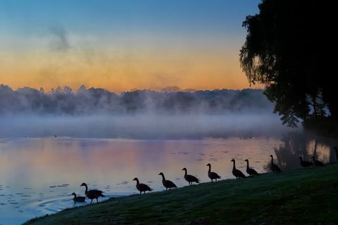 Tiny photo for 315 Bluff Court #C, Lake Barrington, IL 60010 (MLS # 12495458)