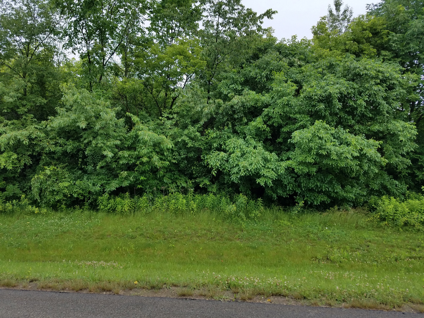 LOT 8 Orchard Bluff Lane