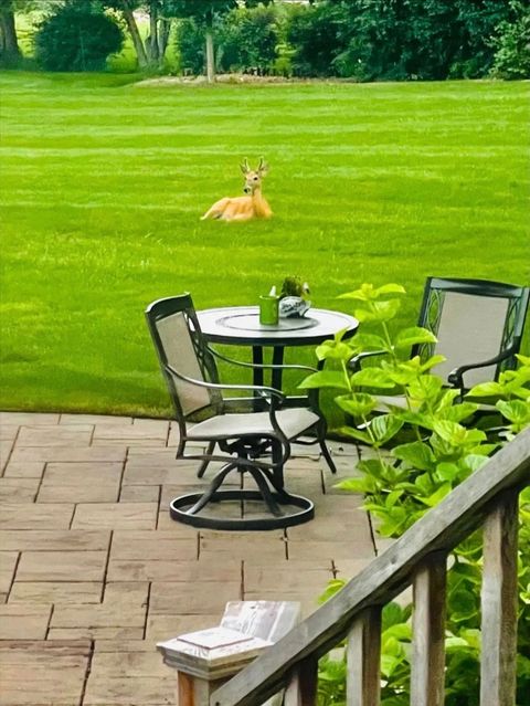 Tiny photo for 635 Signal Hill Road, North Barrington, IL 60010 (MLS # 12616220)