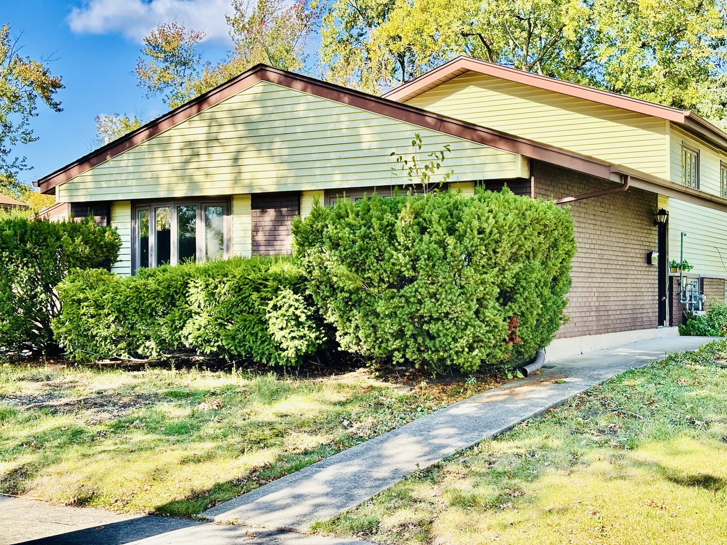 244 Thomas Street