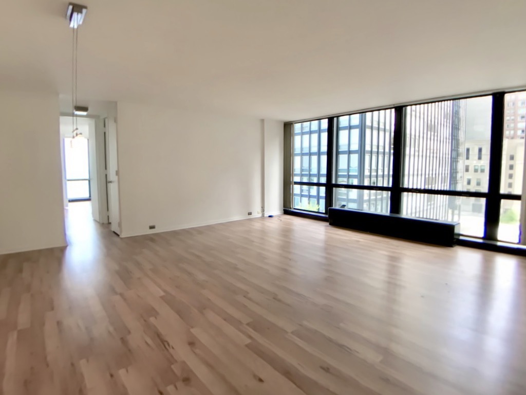 900 N LAKE SHORE Drive 612