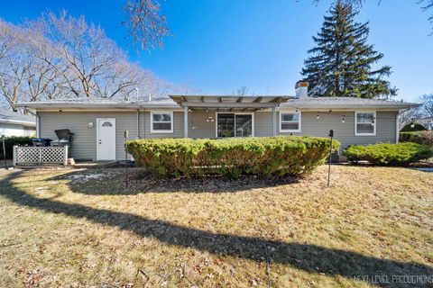 Tiny photo for 906 Carol Avenue, Elgin, IL 60123 (MLS # 12556853)