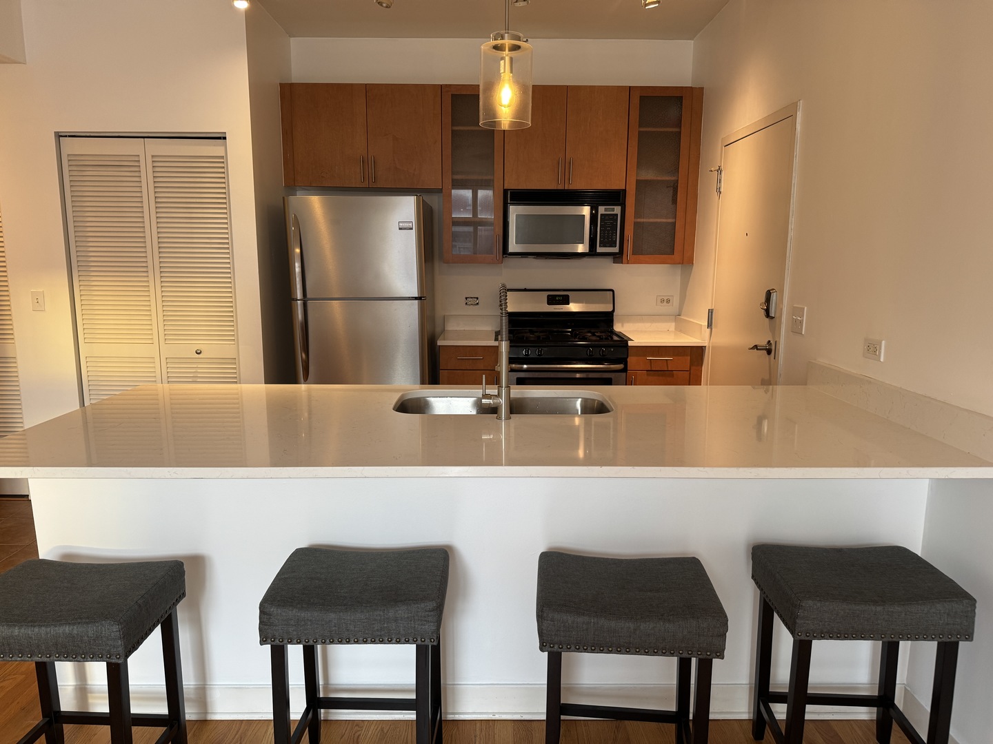 1515 S Halsted Street S 313