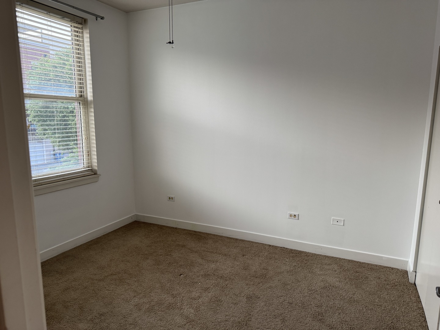 1515 S Halsted Street S 313
