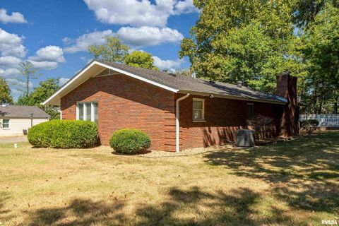 Tiny photo for 30 Red Bud Road, Harrisburg, IL 62946 (MLS # EB459684)