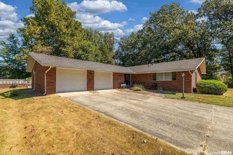 Tiny photo for 30 Red Bud Road, Harrisburg, IL 62946 (MLS # EB459684)