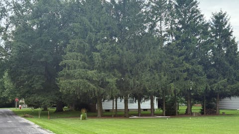 Tiny photo for 203 S Whitehead Street, Tolono, IL 61880 (MLS # 12683729)