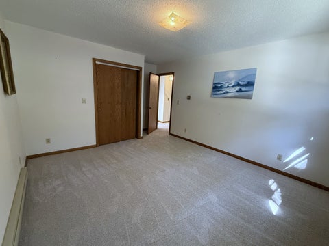 Tiny photo for 203 S Whitehead Street, Tolono, IL 61880 (MLS # 12683729)