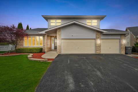 9028 Robin Court Orland Hills IL 60487