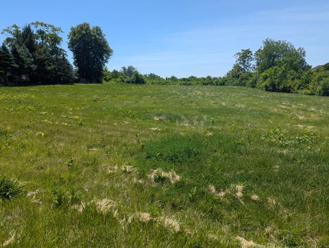 MLS: 12662933