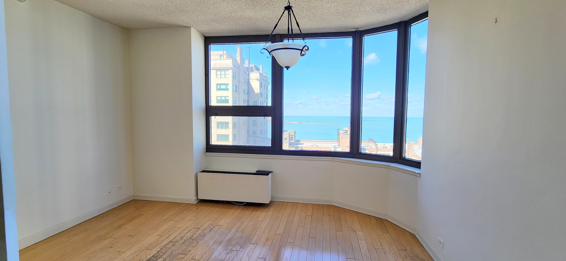 221 E Walton Place 17E