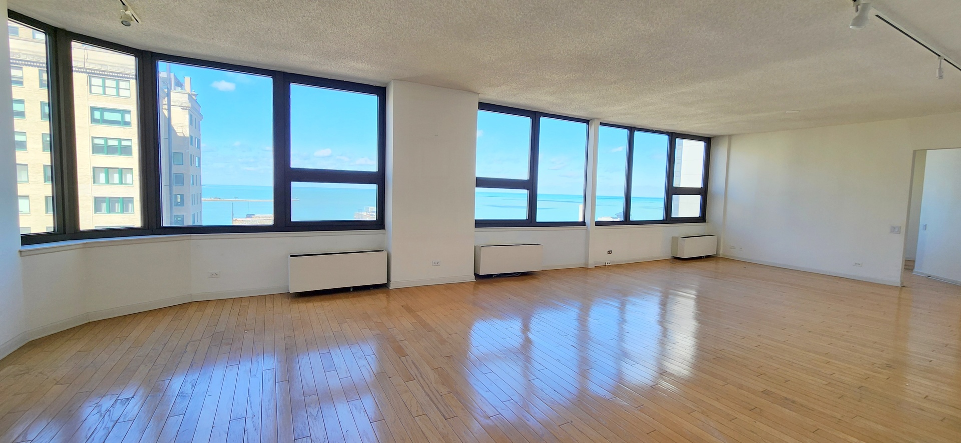 221 E Walton Place 17E