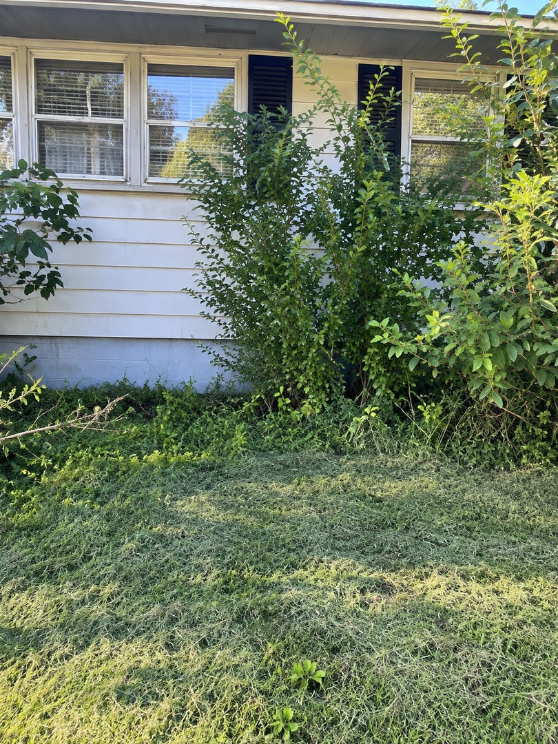 104 N Indiana Street