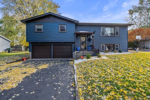 24333 S Valley Drive Channahon IL 60410