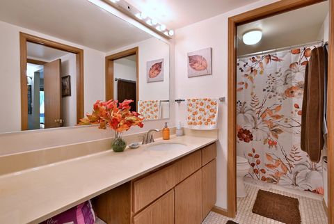 Tiny photo for 6810 Joliet Road #5, Indian Head Park, IL 60525 (MLS # 12495860)