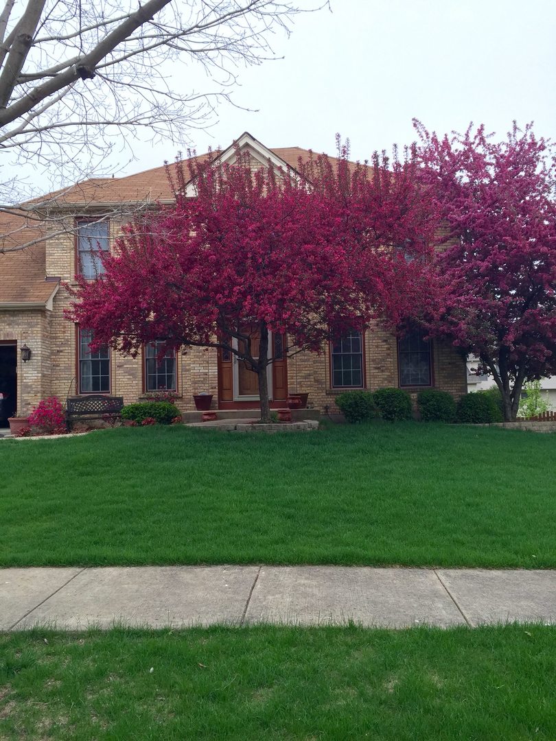 113 Woodlet Lane