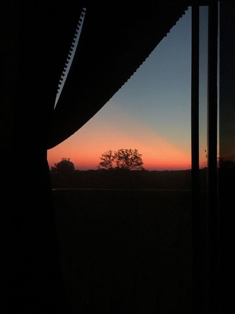 Tiny photo for 1800 7th Street #10E, East Moline, IL 61244 (MLS # 12579658)