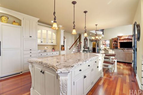 Tiny photo for 1 Terra Vita Drive, South Barrington, IL 60010 (MLS # 12499858)