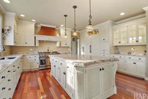 Tiny photo for 1 Terra Vita Drive, South Barrington, IL 60010 (MLS # 12499858)