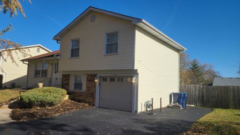 Photo of 125 Deerpath Road, Matteson, IL 60443 (MLS # 12516173)