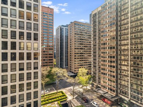 253 E delaware Place 10C Chicago IL 60611