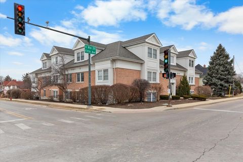 Tiny photo for 111 S 5th Avenue #D, St. Charles, IL 60174 (MLS # 12581210)