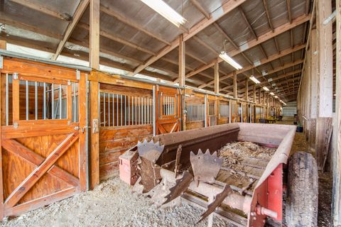 Tiny photo for 1935 E Offner Road, Beecher, IL 60401 (MLS # 12624700)