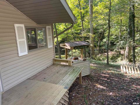 Tiny photo for 11750 #7 Arcadia Lake Road, Marion, IL 62959 (MLS # EB455284)