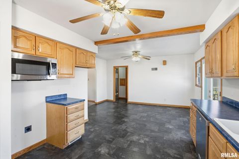 Tiny photo for 508 3RD Street, Durant, IA 52747 (MLS # QC4269278)