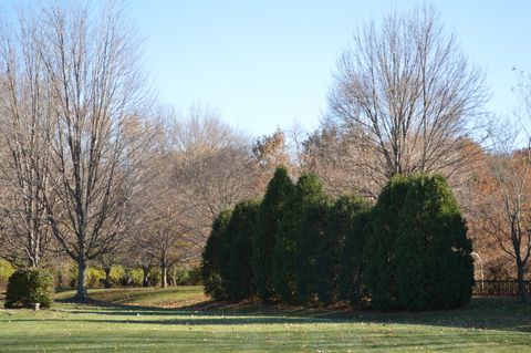 Tiny photo for 1425 Shorewood Drive, St. Anne, IL 60964 (MLS # 12393839)