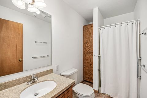 Tiny photo for 204 Carriage Drive, Morris, IL 60450 (MLS # 12646365)