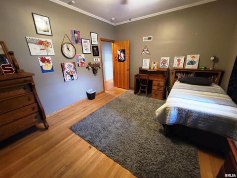 Tiny photo for 235 N INDIANA Avenue, Salem, IL 62881 (MLS # EB460277)