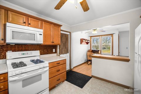 Tiny photo for Lake In The Hills, IL 60156 (MLS # 12522163)