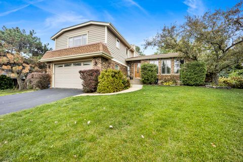 823 N Harrow Court Addison IL 60101