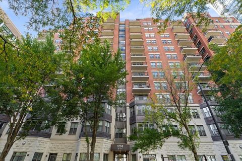 1250 S INDIANA Avenue 503 Chicago IL 60605