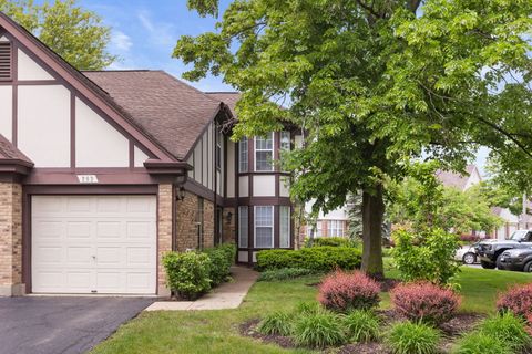 283 E Fabish Drive Buffalo Grove IL 60089