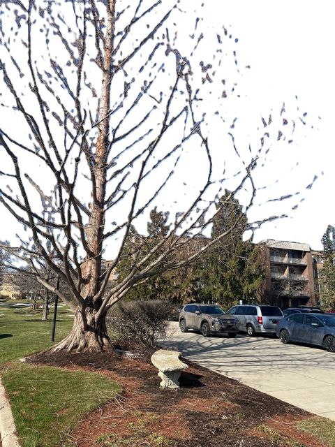 Tiny photo for 245 S Park Lane #424, Palatine, IL 60074 (MLS # 12593658)