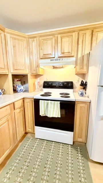Tiny photo for 525 E Honeywell Street, Hoopeston, IL 60942 (MLS # 12728285)