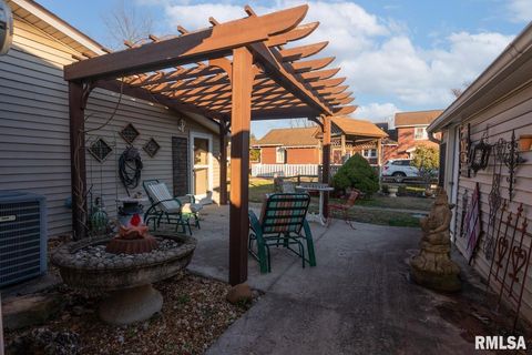 Tiny photo for 127 W Homer Street, Harrisburg, IL 62946 (MLS # EB460650)