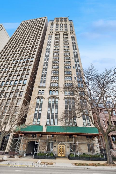 1242 N Lake Shore Drive 25 Chicago IL 60611