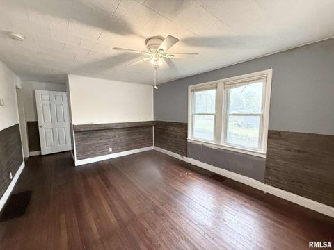 Tiny photo for 205 N PLUM Street, Desoto, IL 62924 (MLS # QC4268842)