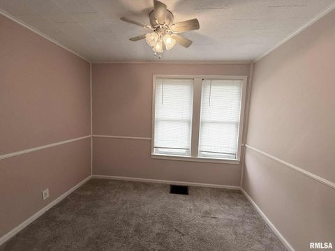 Tiny photo for 205 N PLUM Street, Desoto, IL 62924 (MLS # QC4268842)